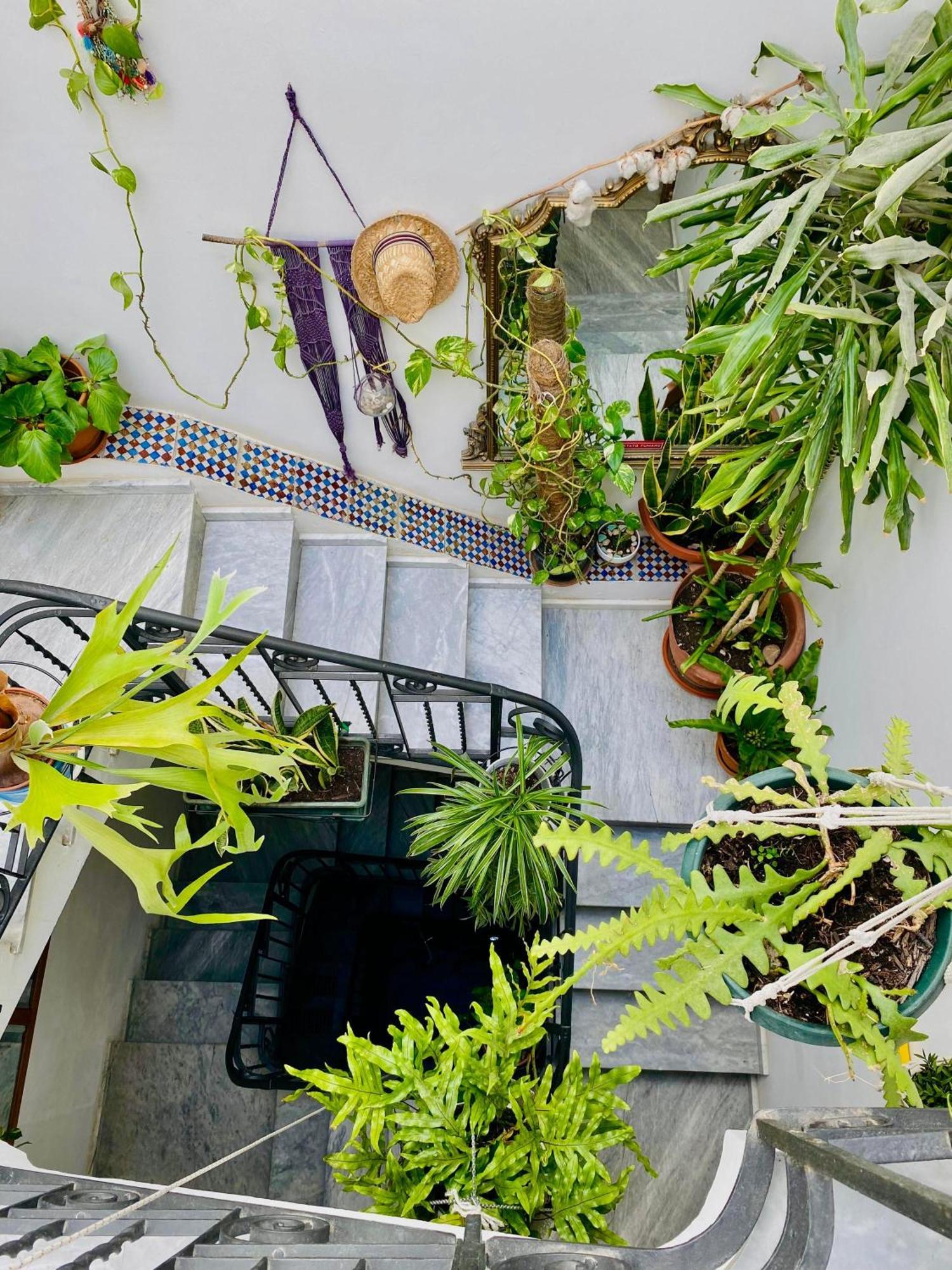 Alvorada Rooms Palermo Exteriér fotografie